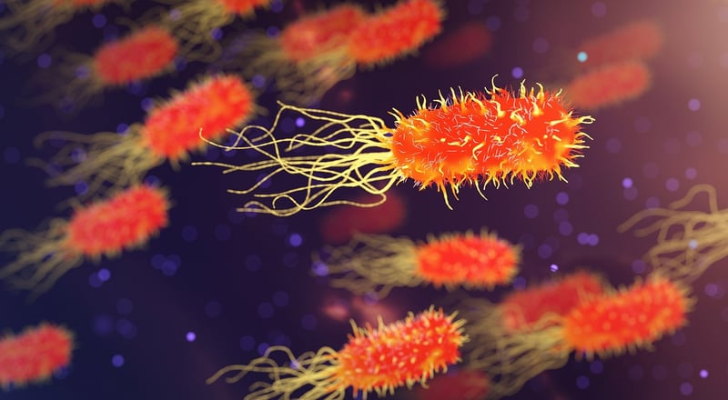 Microbial Evolution